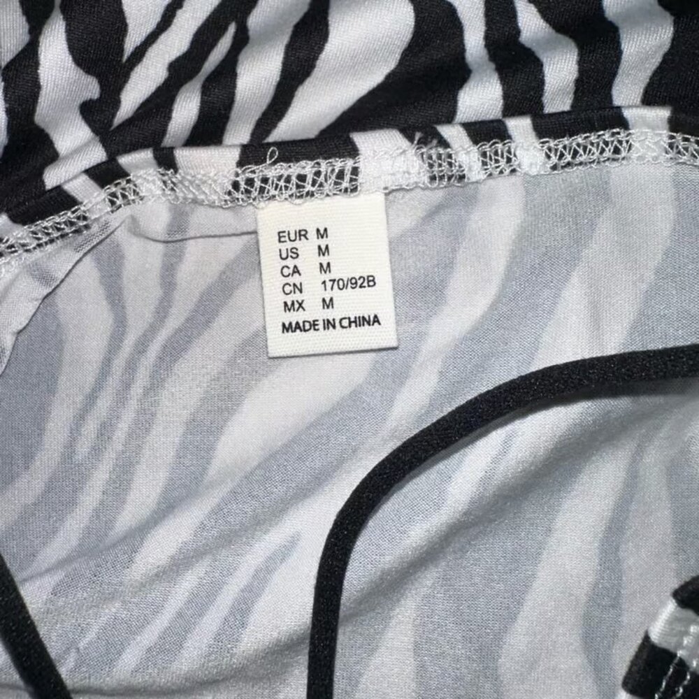 Zebra Dress - image 3